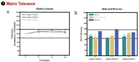 To assess dilution linearity, normal human serum (n=3) and EDTA plasma samples (n=3) and diluent (n=3) were spiked with recombinant calibrator and diluted 2-, 4-, 8-. and 16-fold before testing. 